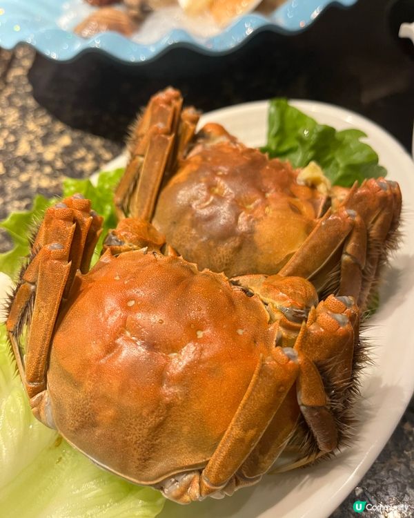 八幡屋涮涮鍋 🦞🦀 任食龍蝦大閘蟹！半價優惠緊！🤩