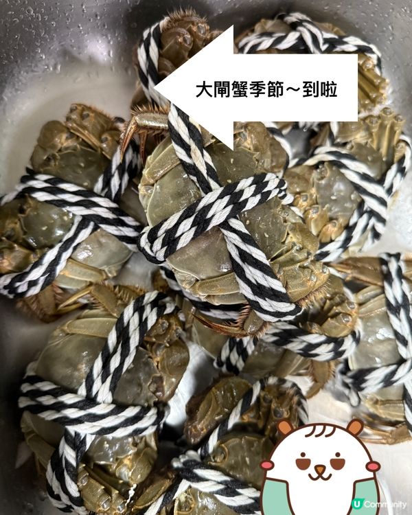 大閘蟹季節限定～