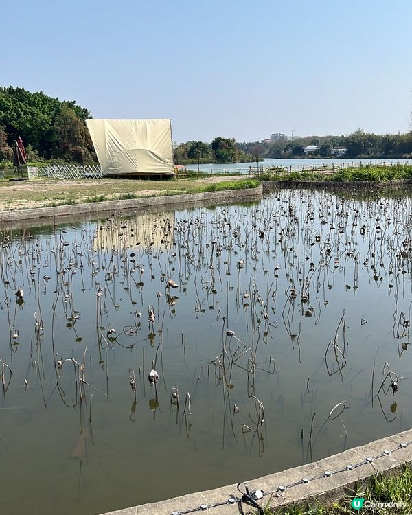 東莞生態園🌴🌅免費入場～放鬆身心 🏞️