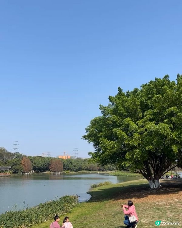 東莞生態園🌴🌅免費入場～放鬆身心 🏞️