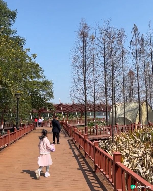 東莞生態園🌴🌅免費入場～放鬆身心 🏞️