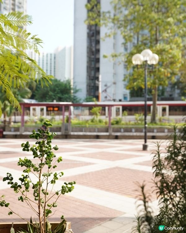 【By the Tray】屯門輕軌人氣咖啡店