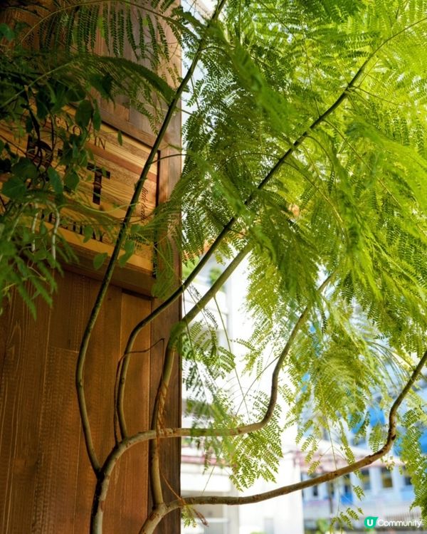 【By the Tray】屯門輕軌人氣咖啡店