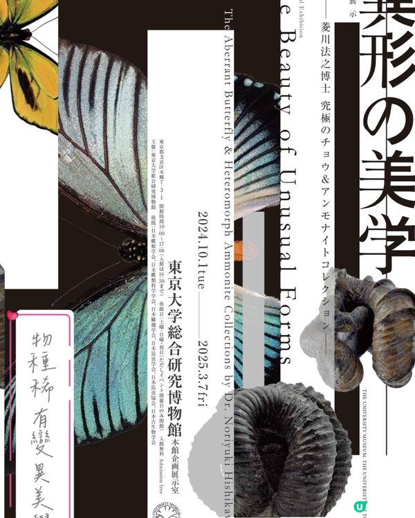 🚶‍♂️走進東大,欣賞稀有物種的異色美