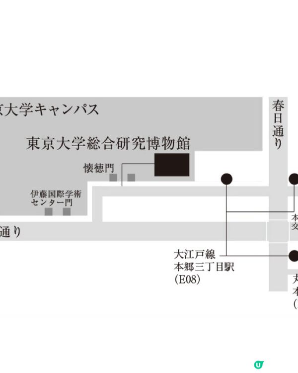 🚶‍♂️走進東大,欣賞稀有物種的異色美