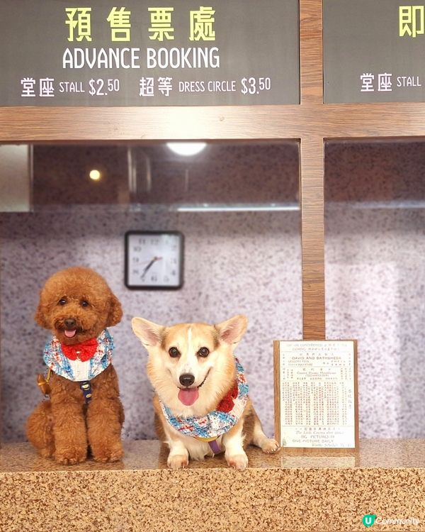 留倩影回到60年代
免費開放趣味時光留影