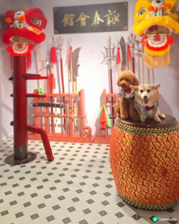 留倩影回到60年代
免費開放趣味時光留影