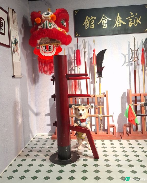 留倩影回到60年代
免費開放趣味時光留影