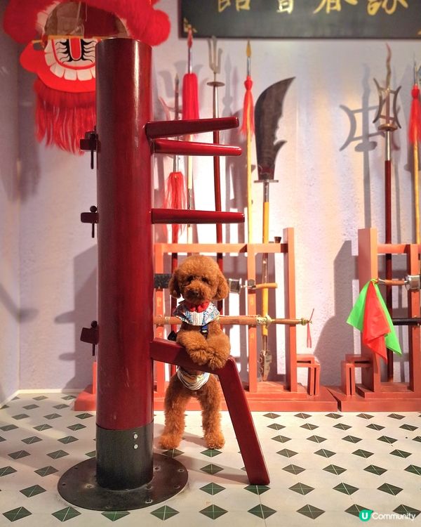 留倩影回到60年代
免費開放趣味時光留影