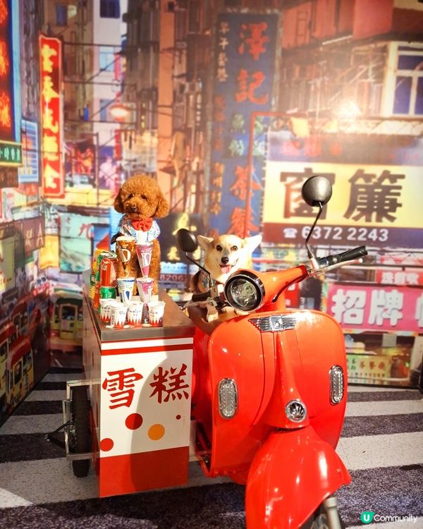 留倩影回到60年代
免費開放趣味時光留影