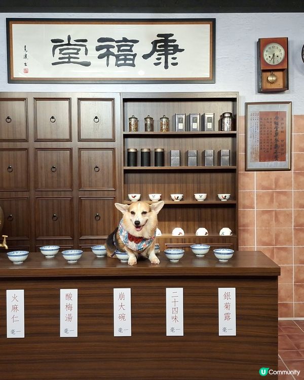 留倩影回到60年代
免費開放趣味時光留影