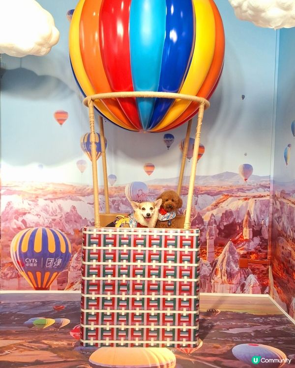 留倩影回到60年代
免費開放趣味時光留影