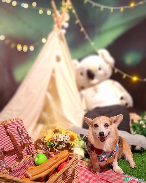 留倩影回到60年代
免費開放趣味時光留影