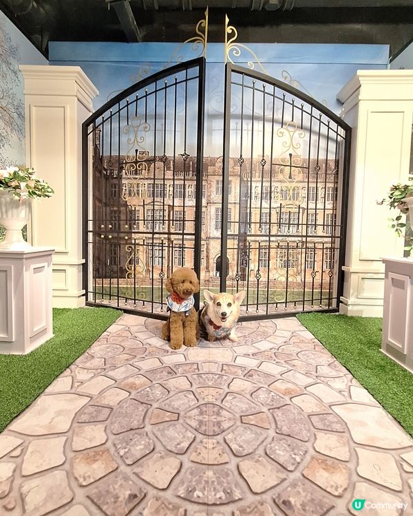 留倩影回到60年代
免費開放趣味時光留影