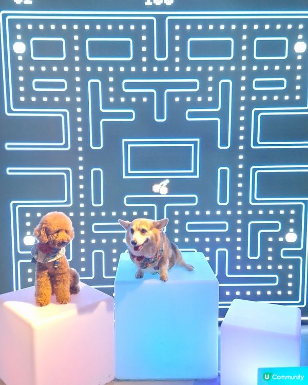 留倩影回到60年代
免費開放趣味時光留影