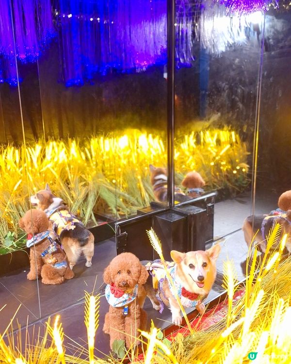 留倩影回到60年代
免費開放趣味時光留影