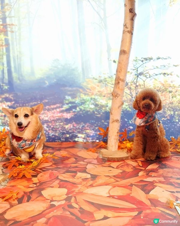 留倩影回到60年代
免費開放趣味時光留影