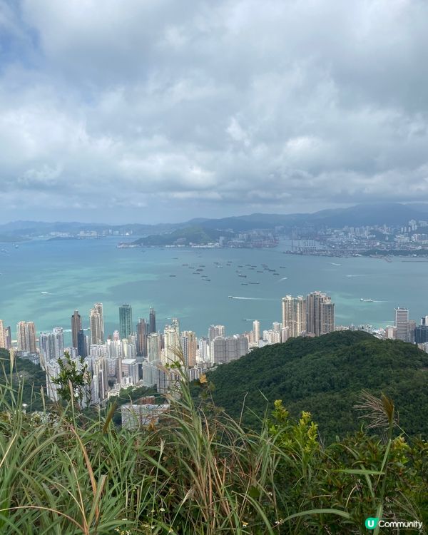 💓💞Pink Walk 2024 💕💗 呼籲關注乳健