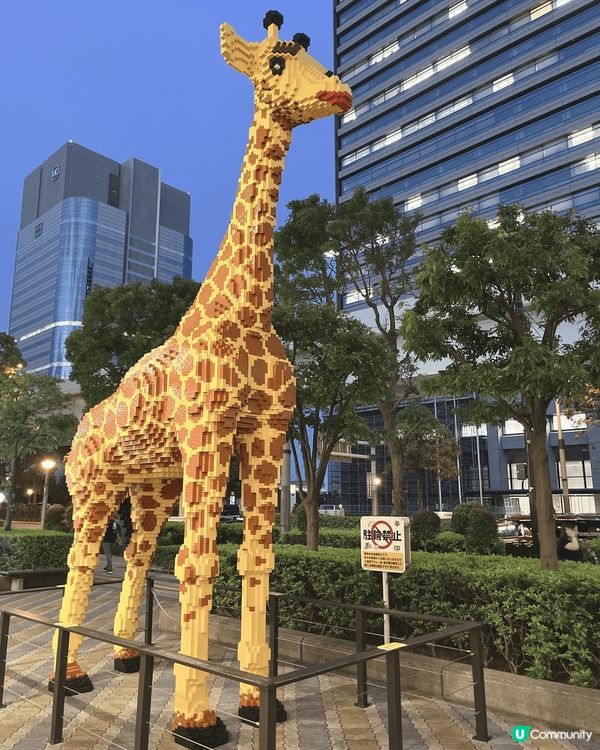 東京台場的日與夜，呢邊唔算好多人，好舒服，風景好靚#轉季好物...