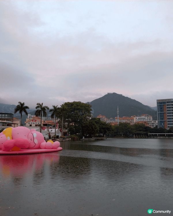 深圳大梅沙8號倉outlet。唔去買野都去行下睇下。好多位可...