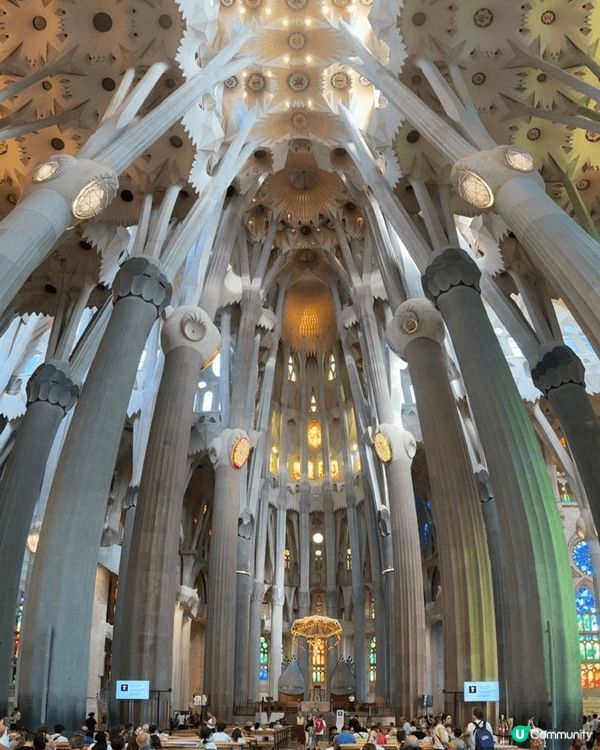 羅馬走過鬥獸場內每一面牆與石柱，一步步探索羅馬豐富的歷史。