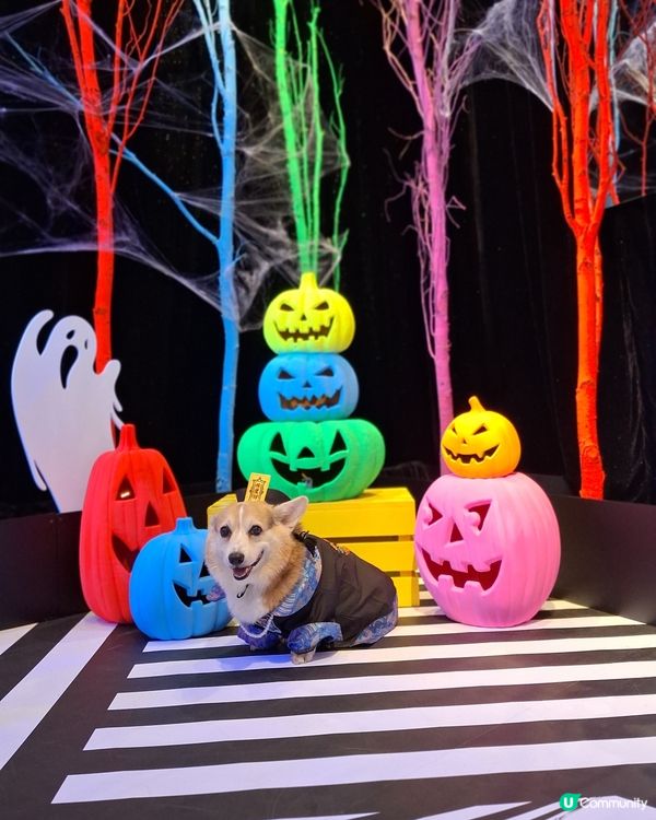 【AIRSIDE化身迷幻夜光樂園 👻與你的「小嘩鬼」