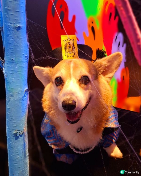 【AIRSIDE化身迷幻夜光樂園 👻與你的「小嘩鬼」