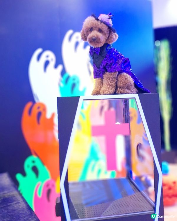 【AIRSIDE化身迷幻夜光樂園 👻與你的「小嘩鬼」