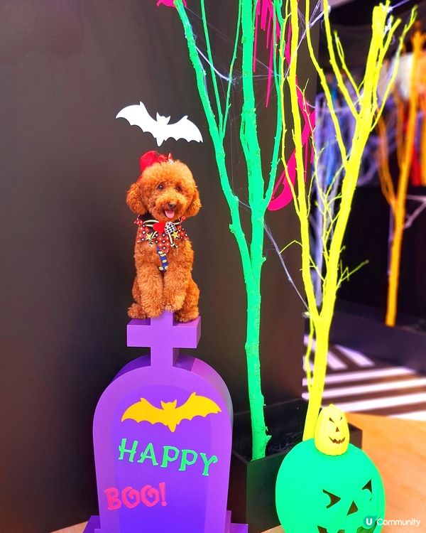 【AIRSIDE化身迷幻夜光樂園 👻與你的「小嘩鬼」