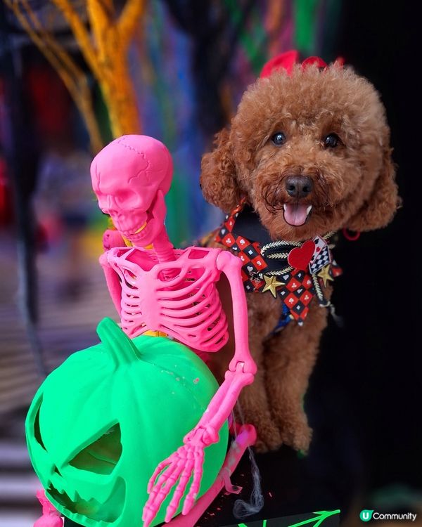 【AIRSIDE化身迷幻夜光樂園 👻與你的「小嘩鬼」