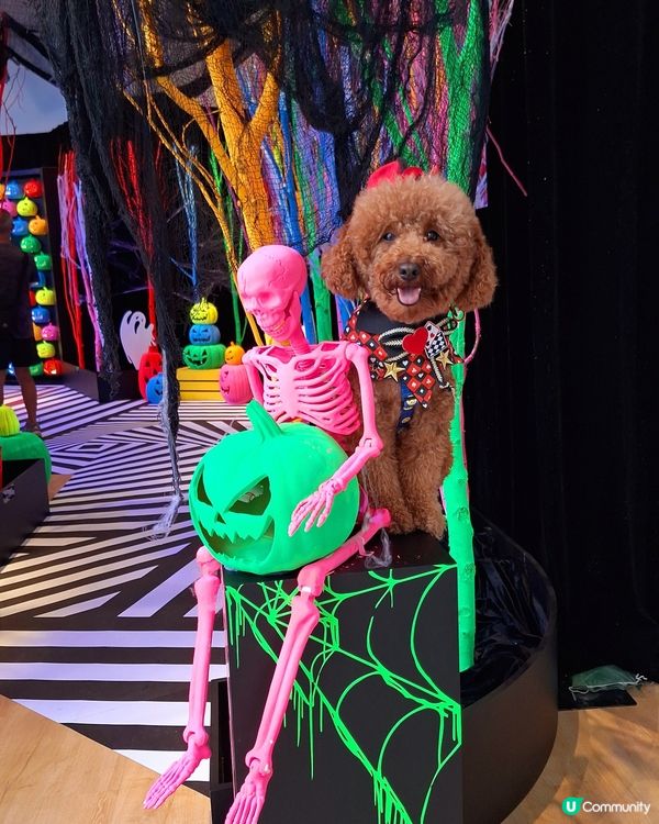 【AIRSIDE化身迷幻夜光樂園 👻與你的「小嘩鬼」