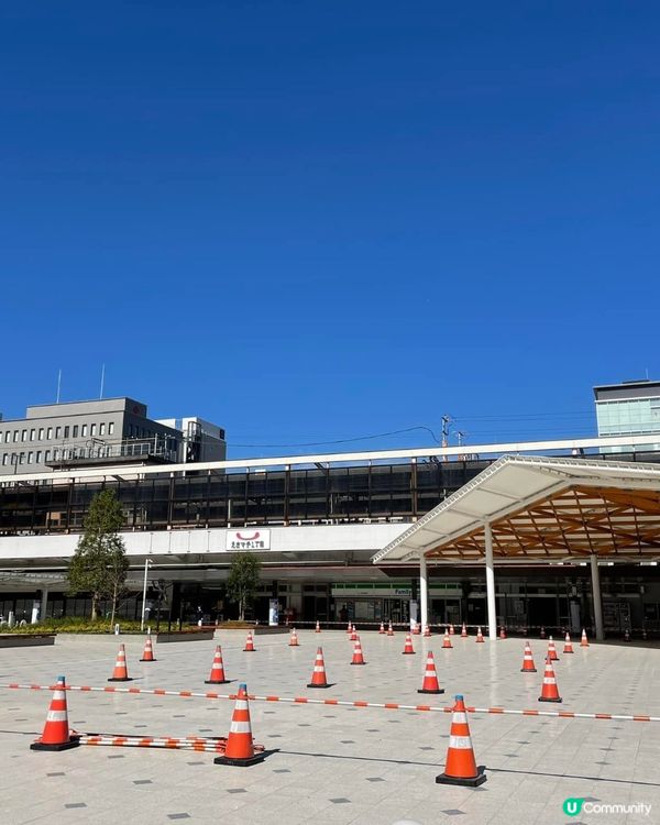 🇯🇵日本各地魅力最新排名 🥂16年冠軍是？排名最後的是？🤩