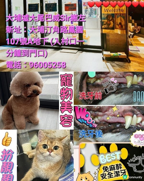 免麻醉安全洗牙