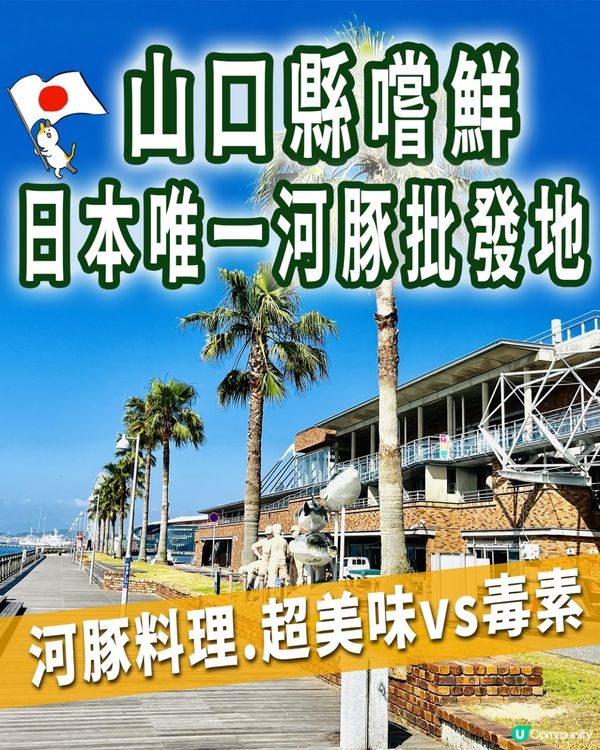 🫣賭上性命的一餐…🇯🇵在日本食美味河豚刺身🐡