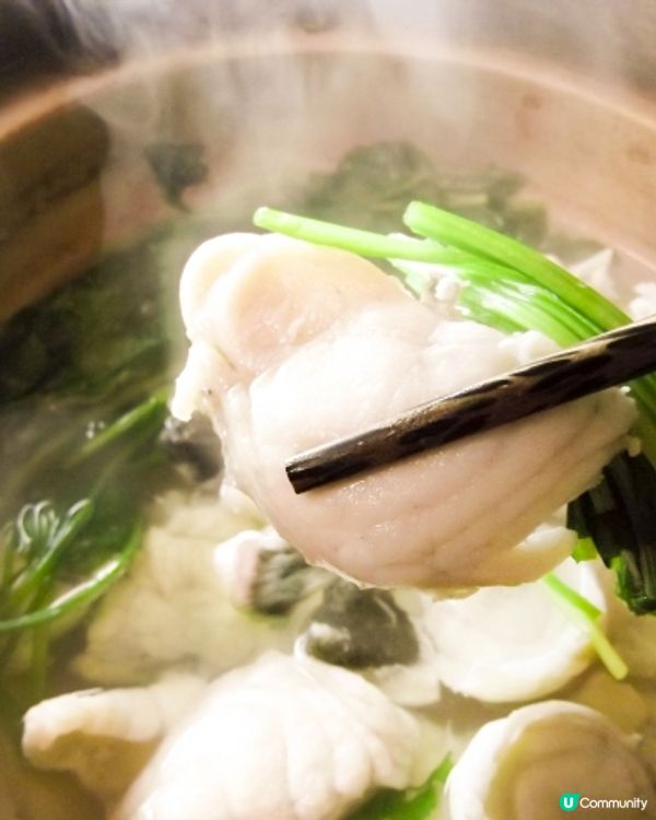 🫣賭上性命的一餐…🇯🇵在日本食美味河豚刺身🐡