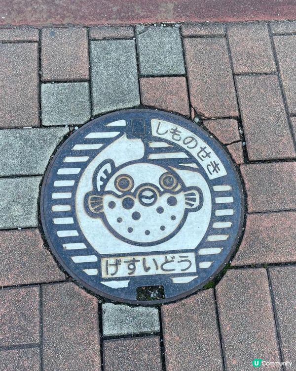 🫣賭上性命的一餐…🇯🇵在日本食美味河豚刺身🐡