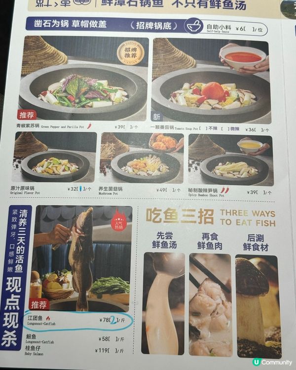 深圳必食！鮮潭蒸氣石鍋魚🐟 勁鮮甜‼️