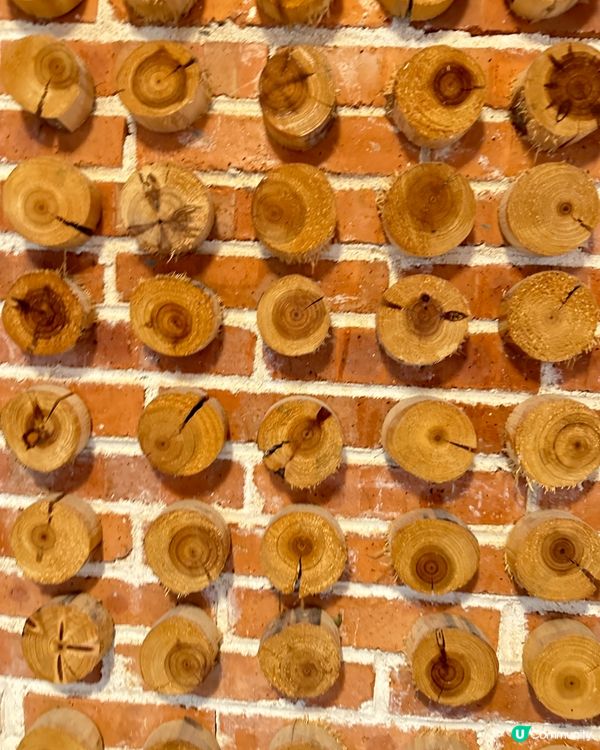 清遠木屋溫泉♨️