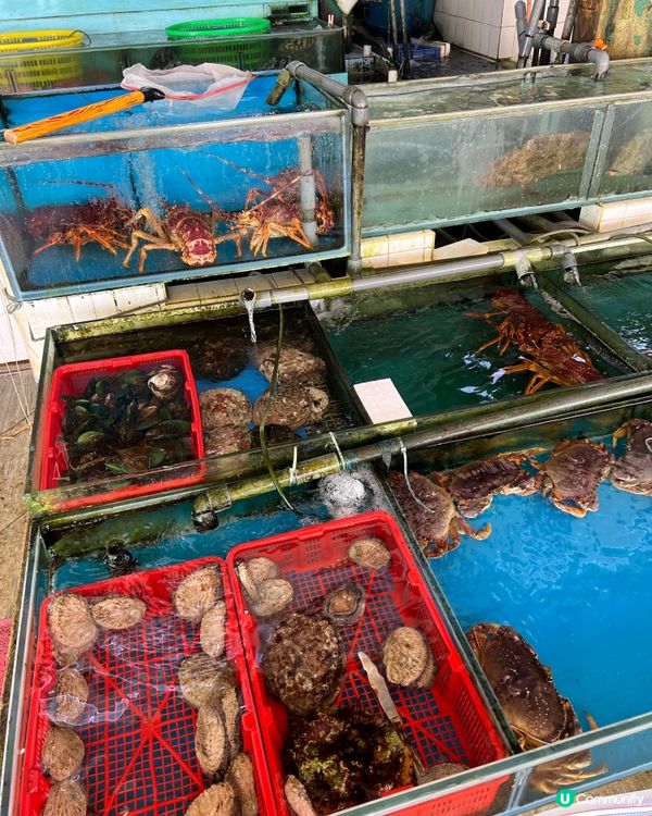 屯門三聖食海鮮🦞點樣叫最抵？教你抵食攻略🤩