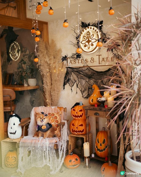 帶寵物一齊食萬聖節大餐🎃｜太子高質西式cafe
