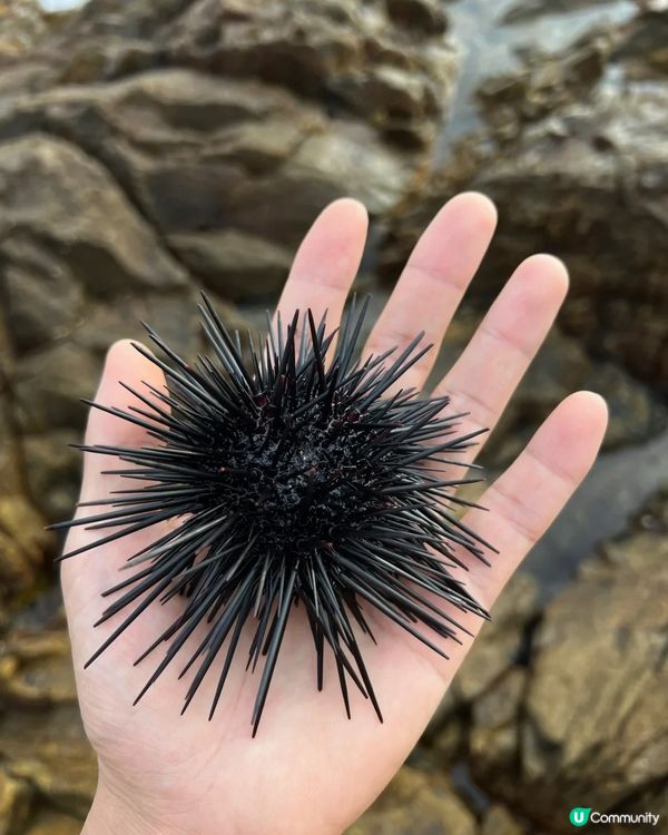 每週行山-絕美路線白虎山 