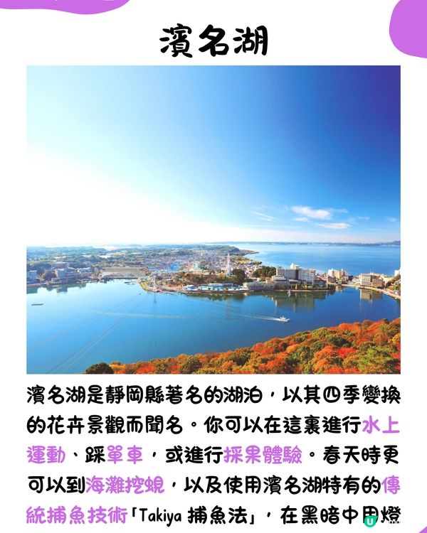 快運新航線✈️靜岡14大必去景點🇯🇵此生必去夢之吊橋🌉仲可以與海豚浮潛⁉️🐬