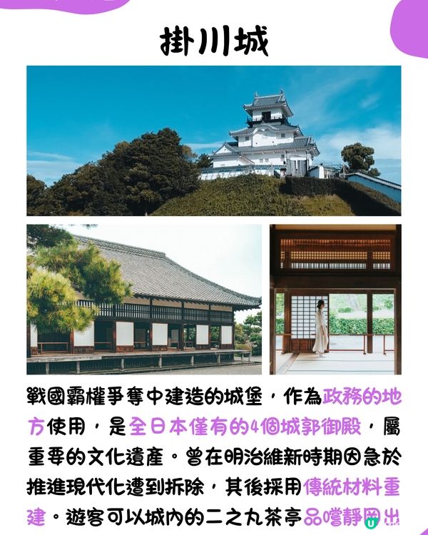 快運新航線✈️靜岡14大必去景點🇯🇵此生必去夢之吊橋🌉仲可以與海豚浮潛⁉️🐬