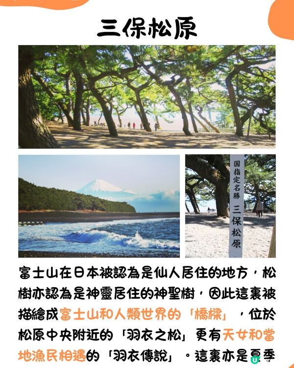 快運新航線✈️靜岡14大必去景點🇯🇵此生必去夢之吊橋🌉仲可以與海豚浮潛⁉️🐬