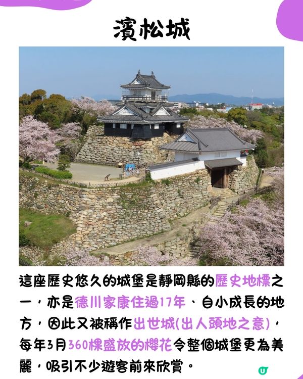 快運新航線✈️靜岡14大必去景點🇯🇵此生必去夢之吊橋🌉仲可以與海豚浮潛⁉️🐬