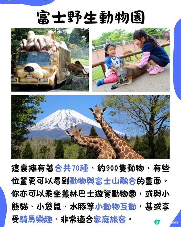 快運新航線✈️靜岡14大必去景點🇯🇵此生必去夢之吊橋🌉仲可以與海豚浮潛⁉️🐬