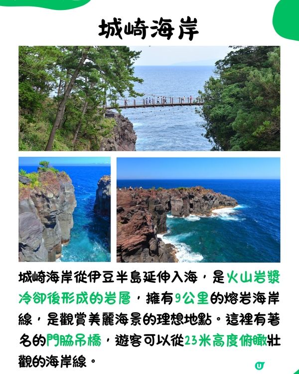 快運新航線✈️靜岡14大必去景點🇯🇵此生必去夢之吊橋🌉仲可以與海豚浮潛⁉️🐬