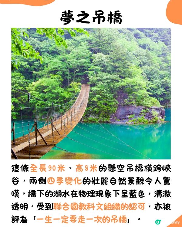 快運新航線✈️靜岡14大必去景點🇯🇵此生必去夢之吊橋🌉仲可以與海豚浮潛⁉️🐬