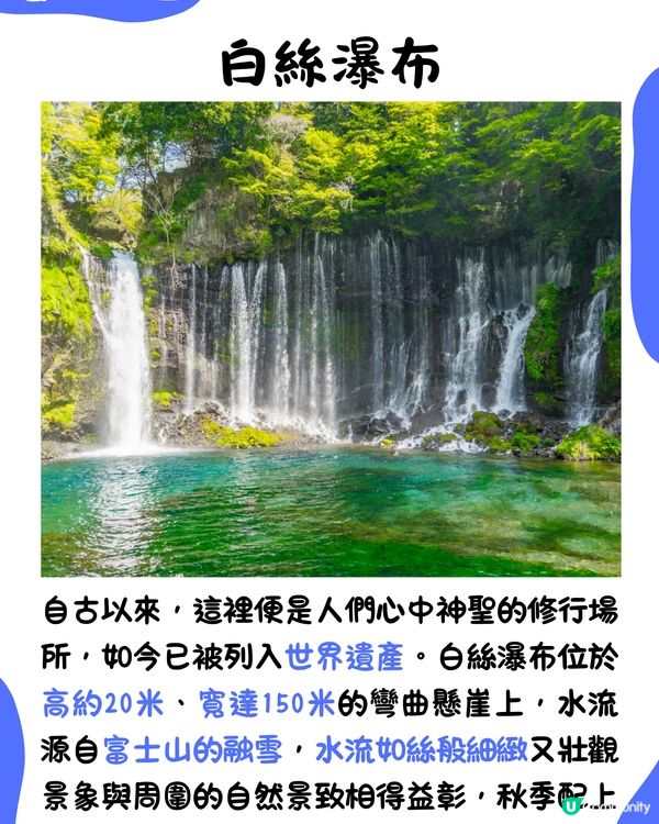 快運新航線✈️靜岡14大必去景點🇯🇵此生必去夢之吊橋🌉仲可以與海豚浮潛⁉️🐬