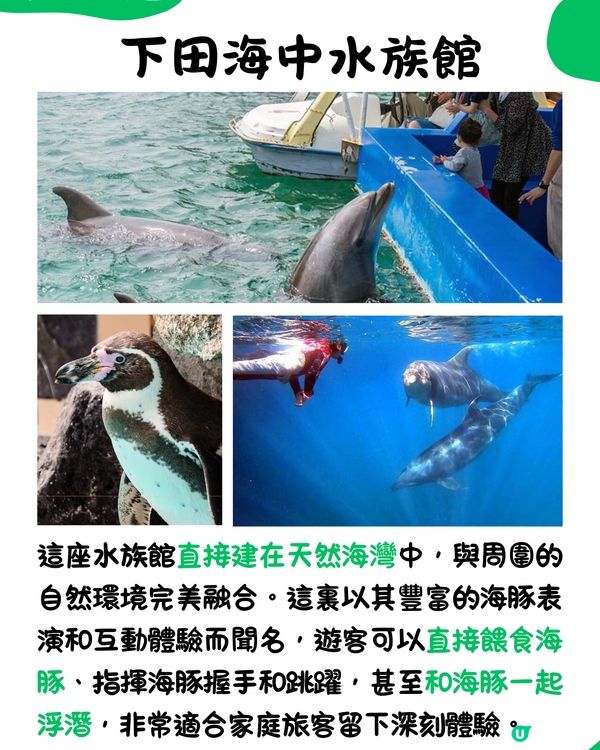 快運新航線✈️靜岡14大必去景點🇯🇵此生必去夢之吊橋🌉仲可以與海豚浮潛⁉️🐬